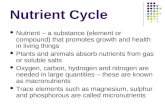 Ecosystems 3 Nutrient Cycle