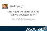 Late night thoughts of a jet-lagged phylogeneticist