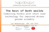 Combining PacBio with short read technology for improved de novo genome assembly