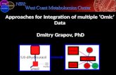 Omic Data Integration Strategies