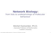 Network Biology: from lists to underpinnings of molecular behaviour