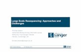 Large Scale Resequencing: Approaches and Challenges