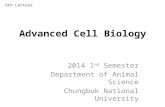 Cell biology Lecture 6