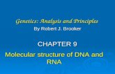 dna rna structure 1