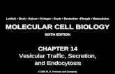 Molecular Cell Biology Lodish 6th.ppt - Chapter 14   vesicular traffic, secretion, and endocytosis