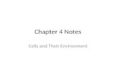 Chapter 4 notes new