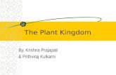The Plant Kingdom1