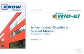 Information Quality Assessment in the WIQ-EI EU Project