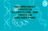 Recombinant protein expression and purification Lecture