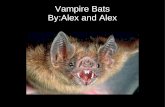 Vampire bats by Alex&Alex