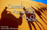 Camels and the Accuracy of the Bible