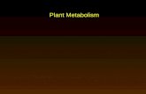 Chapter 10 Metabolism