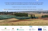 Local agro-ecological knowledge of impacts of land use change on water security: Impacts of eucalyptus expansion in the Ethiopian highlands