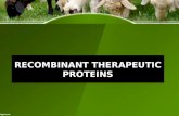Recombinant therapeutic proteins