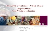 Innovation systems and value chain approaches: From principles to practice