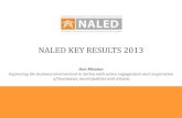 NALED key results in 2013