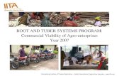 ROOT AND TUBER SYSTEMS PROGRAM: Commercial Viability of Agro-enterprises Year 2007