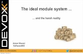 The ideal module system and the harsh reality