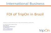 FDI in B2B Travel in Brazil