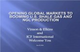 Opening Global Markets to Booming U.S. Shale Gas and NGL Production