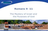 Romans 9 to 11 Sermon at Camrose Baptist Church