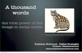 The viral power of images in social media - BizCamp Belfast