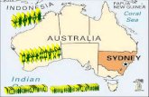 SYDNEY - AUSTRALIA