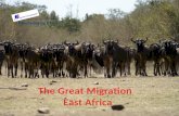 East Africa Migrations