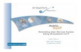 Extending User Service Access Using Broadband VoIP