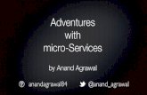Adventures with Microservices