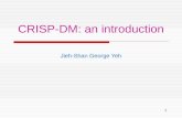 CRISP-DM: an introduction