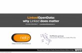 Linked Open Data: why Linked does matter
