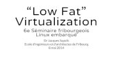 Low fat virtualization for embedded systems