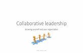 DevOpsDays Austin 2014 - collaborative leadership lightning talk