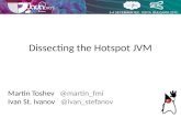 Dissecting the Hotspot JVM