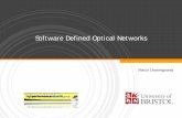 Software Defined Optical Networks - Mayur Channegowda