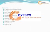 Cylsys Software Solution Profile