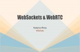 Realtime Web Apps: WebSockets & WebRTC