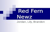 Red fern newz