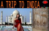 A trip to india   arise roby