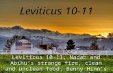 Leviticus 10-11, Nadab and Abihu’s strange fire, clean and unclean food, Benny Hinn's wife, Suzanne Hinn, holy, Torah, uncleanness