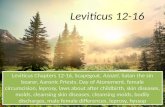 Leviticus 12-16, Scapegoat, Azazel, Satan the sin bearer, laws about after childbirth, Day of Atonement, male and female circumcision, male and female differences, Aaronic Priests,