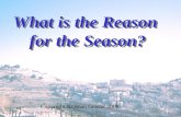 What is the reason for the season