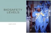 Biosafety levels with video guideline
