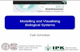 Modelling and Visualising Biological Systems - Falk Schreiber