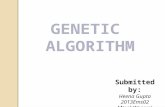 Introduction to Genetic algorithm