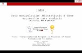 Lab Gene Expression Data Analysis