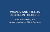 Waves and fields in bio-ontologies
