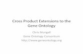 Cross Product Extensions to the Gene Ontology