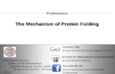 The mechanism of protein folding